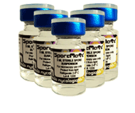 psilocybin spore syringe psilocybin spore syringe