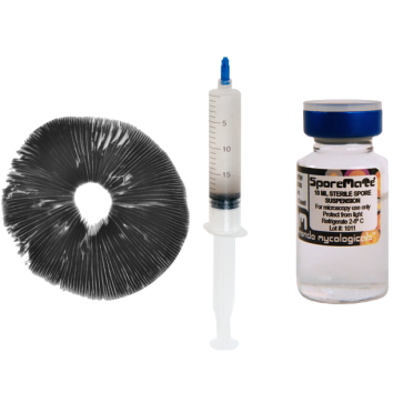 Costa Rica psilocybe cubensis spore print, spore syringe and spore vials