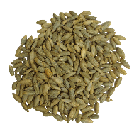 Rye Grain